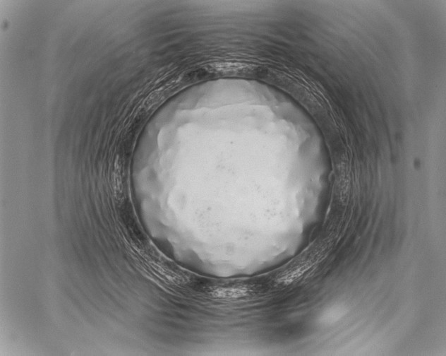 X0000058110653200510171245