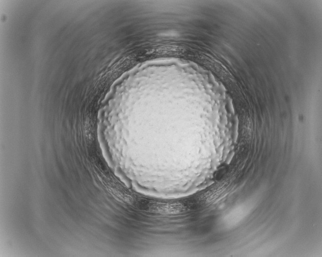 X0000058110663200510171246