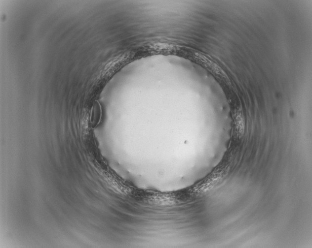 X0000058110668200510171246