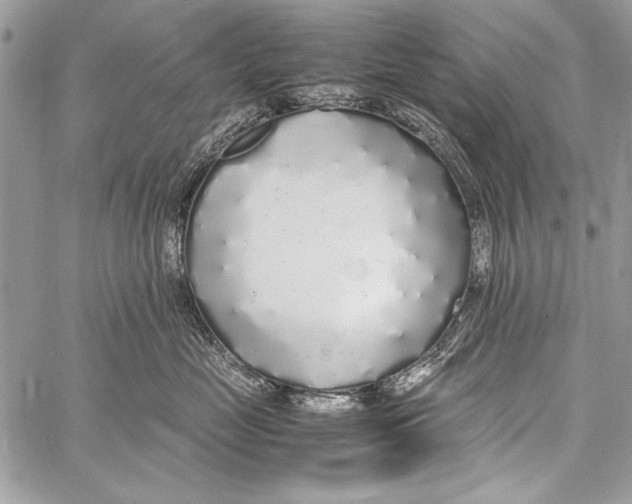 X0000058110669200510171246