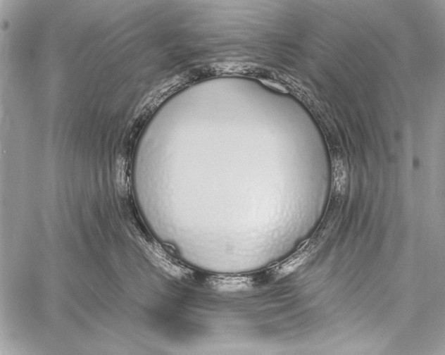 X0000058110670200510171246