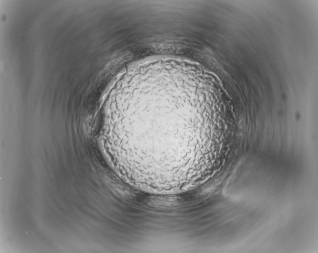 X0000058110671200510171246