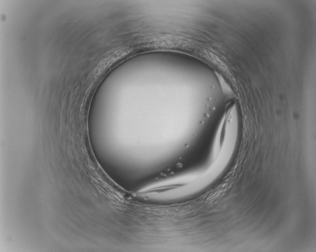 X0000058110673200510171245