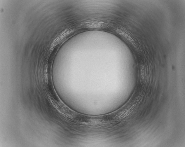 X0000058110682200510171245