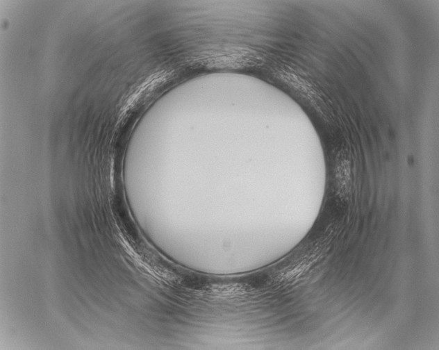 X0000058110686200510171245