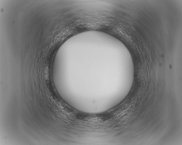 X0000058110689200510171245