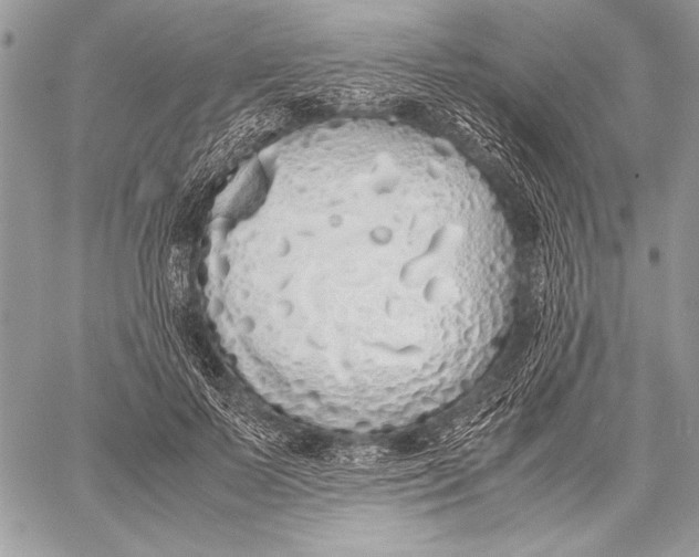 X0000058110695200510171245