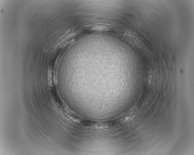 X0000058110696200510171245