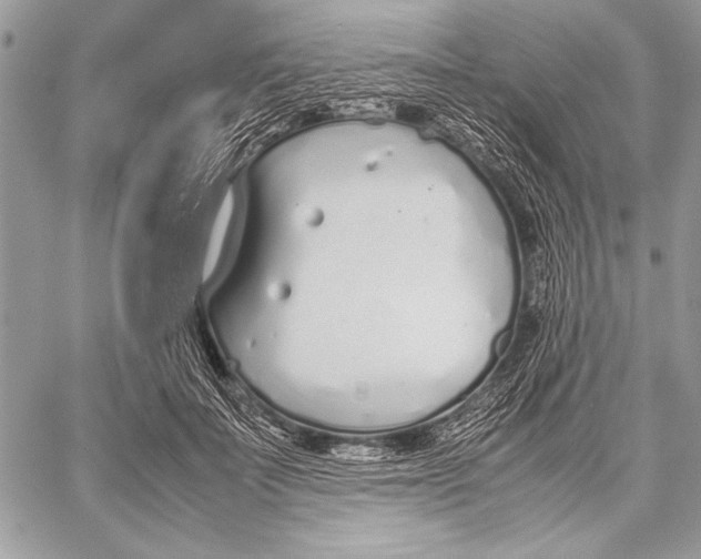 X0000058110699200510171244