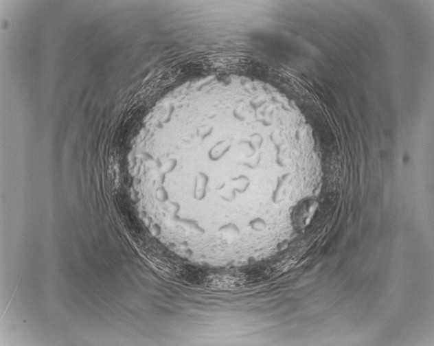 X0000058110703200510171244