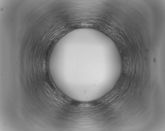 X0000058110704200510171244