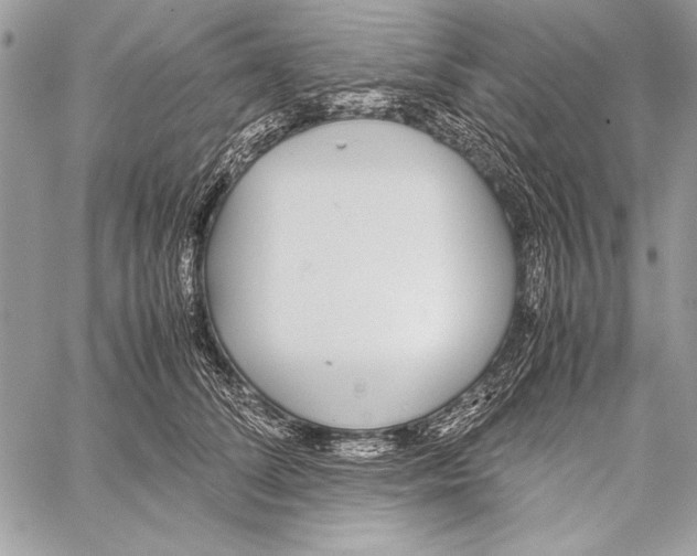 X0000058110708200510171244