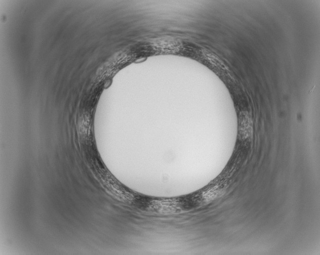 X0000058110713200510171244