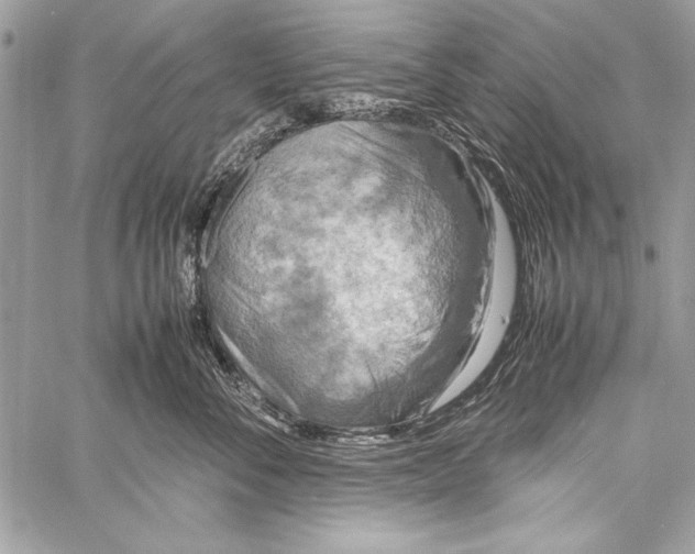 X0000058110716200510171244
