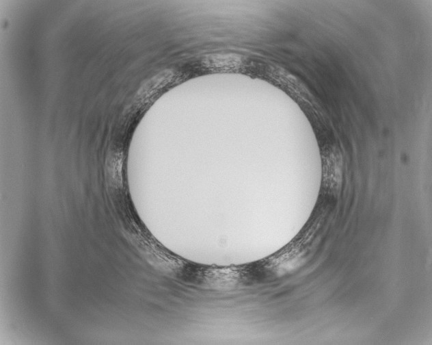 X0000058110717200510171244