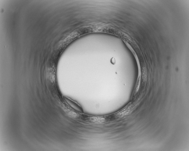 X0000058110719200510171244