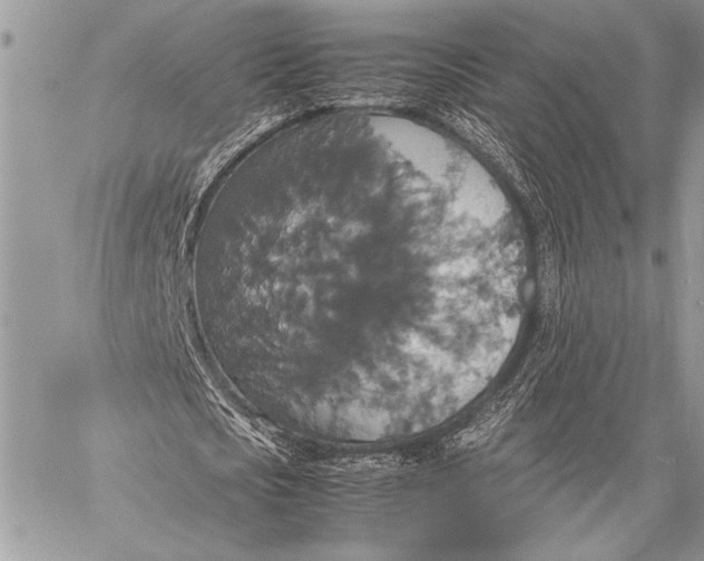 X0000058110721200510171243