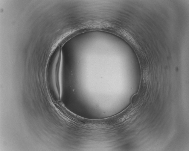 X0000058110722200510171243