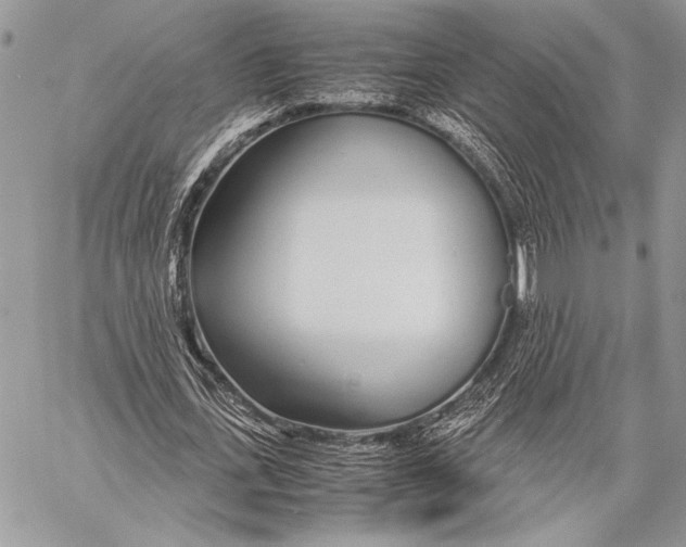 X0000058110723200510171243