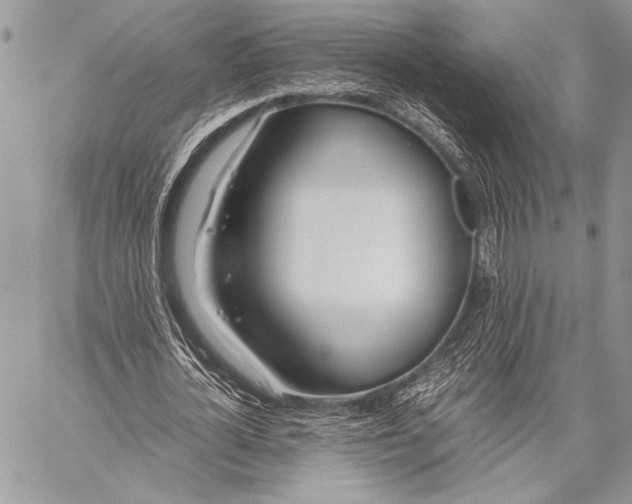 X0000058110724200510171243