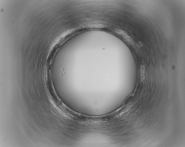 X0000058110726200510171243