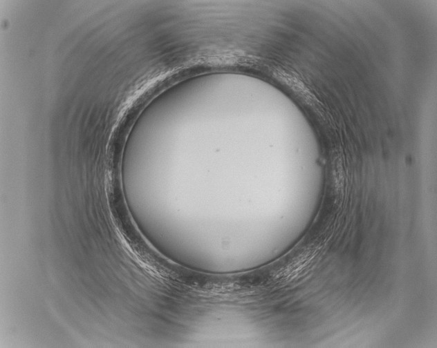 X0000058110728200510171243