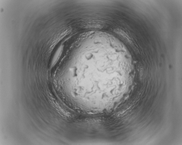 X0000058110729200510171243