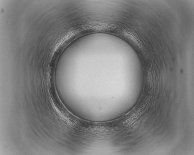 X0000058110730200510171243