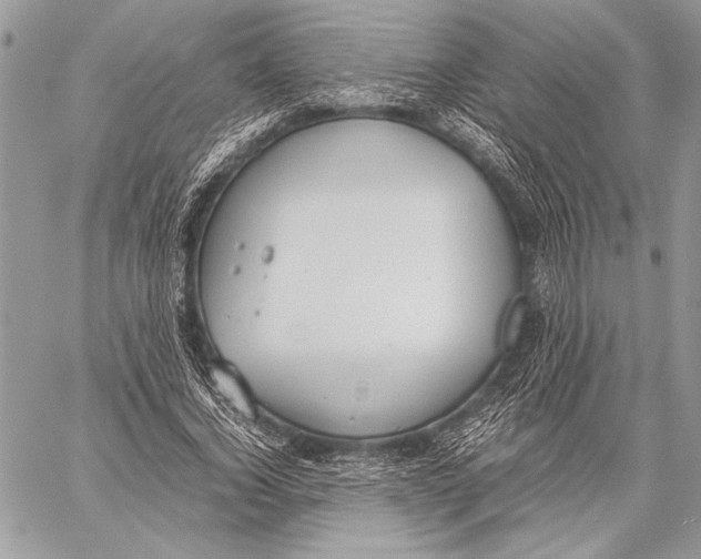 X0000058110732200510171244