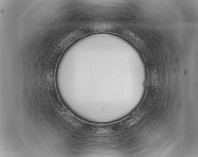 X0000058110737200510171244