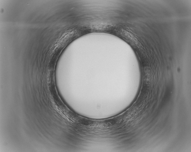 X0000058110738200510171244