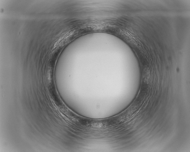 X0000058110740200510171244