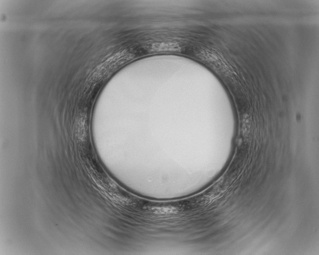 X0000058110741200510171244