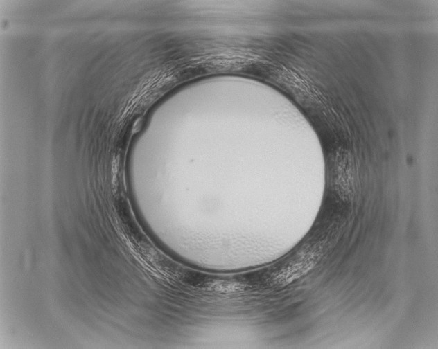 X0000058110742200510171244