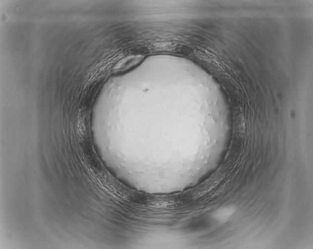 X0000058110746200510171244