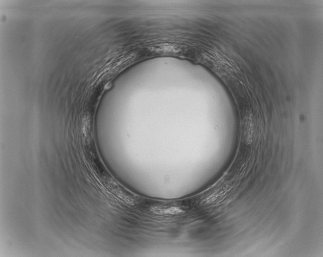 X0000058110747200510171244