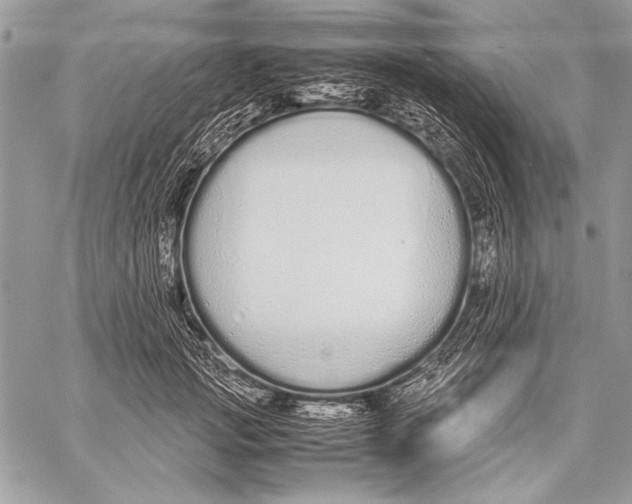 X0000058110749200510171244