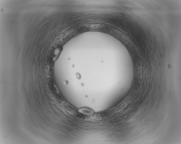 X0000058110750200510171244