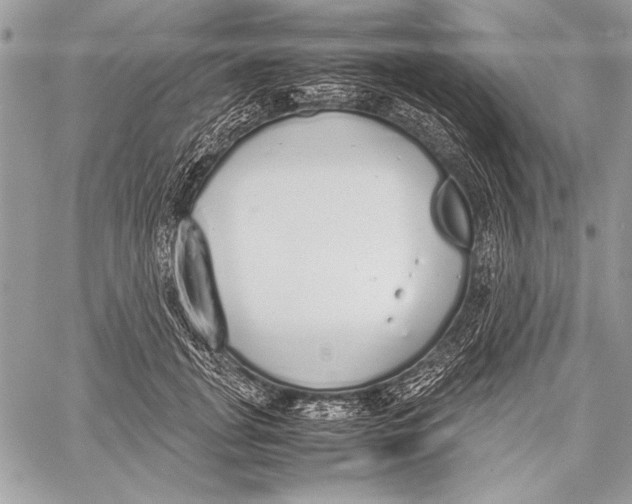 X0000058110751200510171244