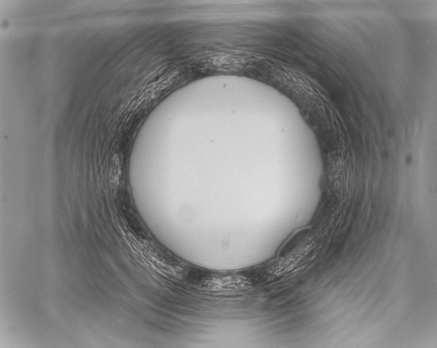 X0000058110752200510171244