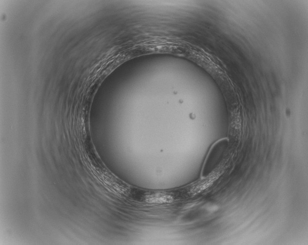 X0000058110754200510171244