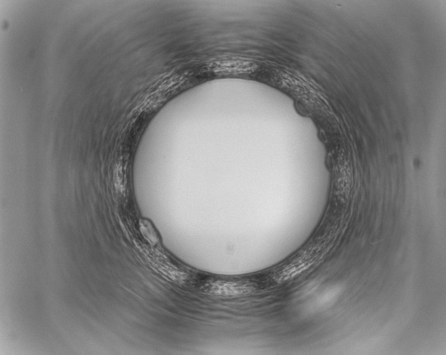 X0000058110755200510171244