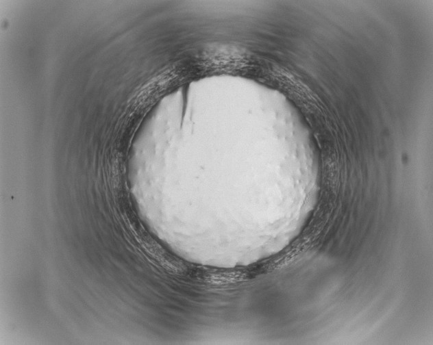 X0000058110757200510171244