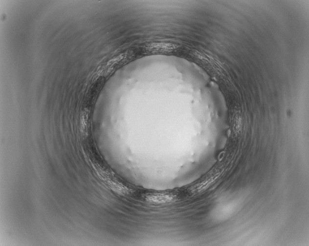 X0000058110759200510171244