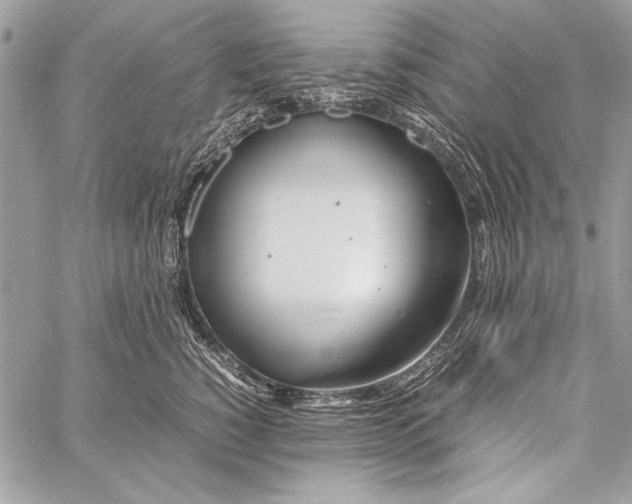 X0000058110760200510171244