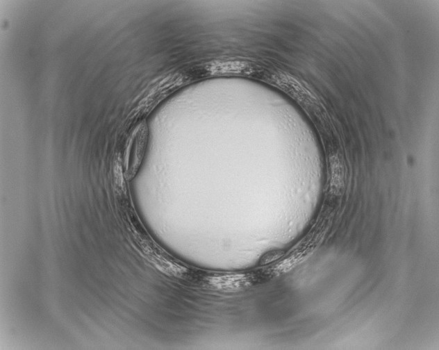 X0000058110761200510171244