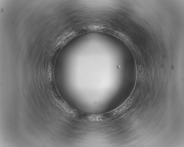 X0000058110762200510171244