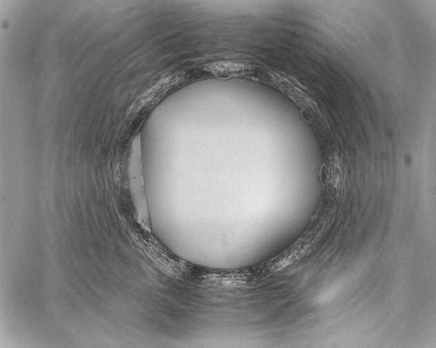 X0000058110763200510171244