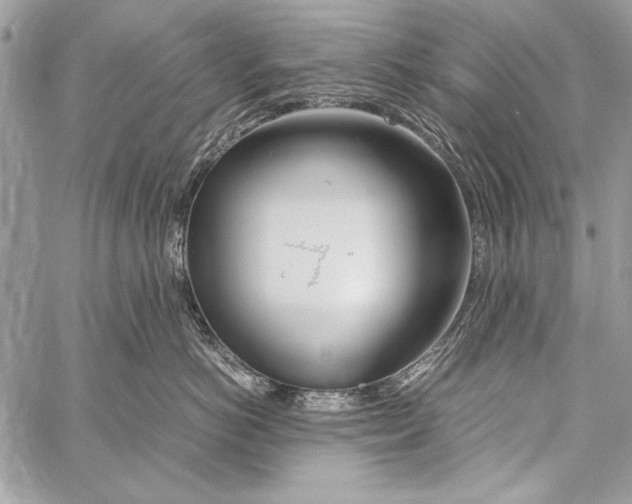 X0000058110766200510171244