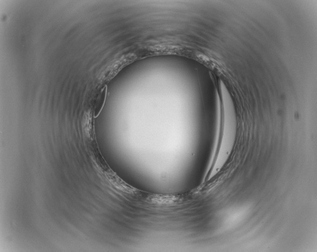 X0000058110767200510171244